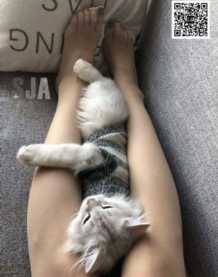 昆宝出拳