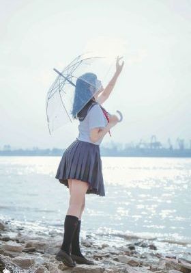 法国小野猫