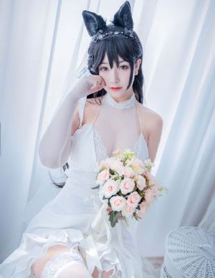 《激情丛林》在线播放